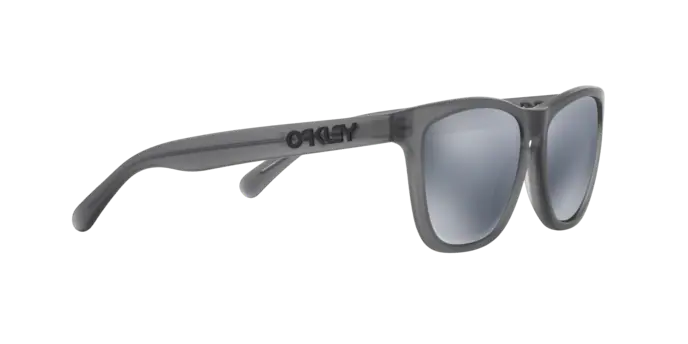 Oakley Sunglasses Frogskins Lx OO204310