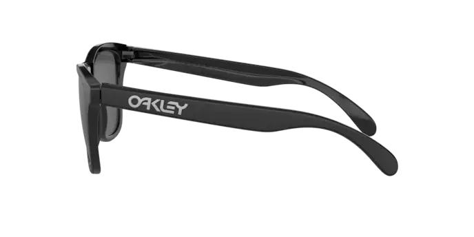 Oakley Sunglasses Frogskins OO9013B8