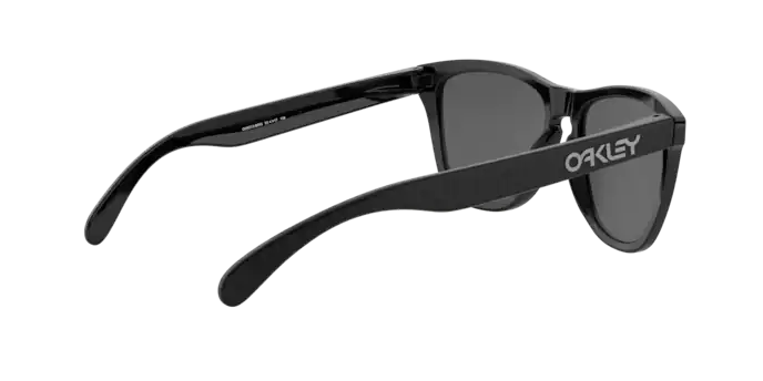 Oakley Sunglasses Frogskins OO9013B8