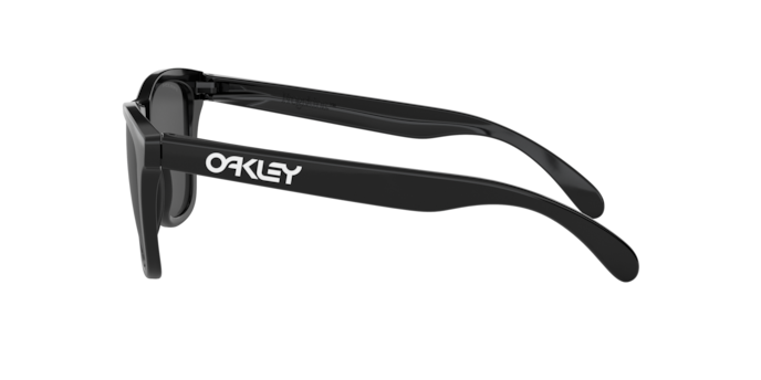 Oakley Sunglasses Frogskins OO9013C4