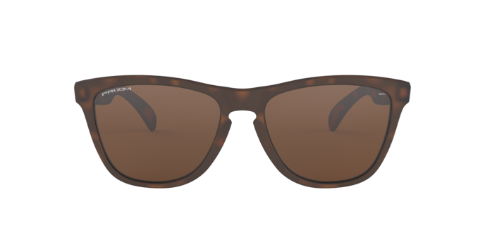 Oakley Sunglasses Frogskins OO9013C5