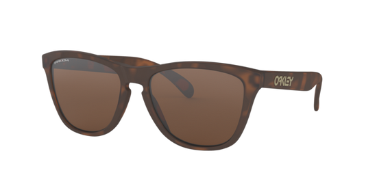 Oakley Sunglasses Frogskins OO9013C5