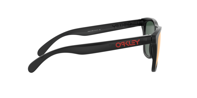 Oakley Sunglasses Frogskins OO9013C9