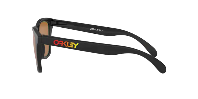 Oakley Sunglasses Frogskins OO9013E2