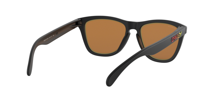 Oakley Sunglasses Frogskins OO9013E2