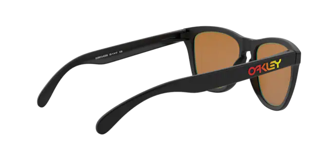 Oakley Sunglasses Frogskins OO9013E2