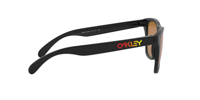 Oakley Sunglasses Frogskins OO9013E2