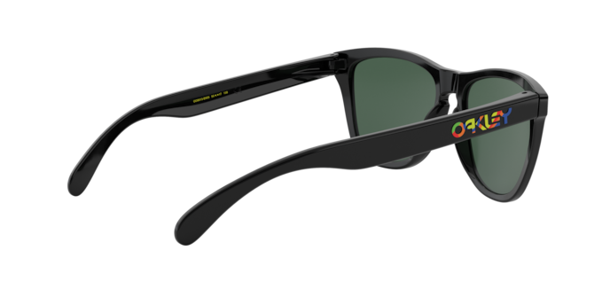 Oakley Sunglasses Frogskins OO9013E6