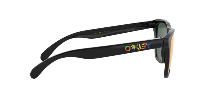 Oakley Sunglasses Frogskins OO9013E6