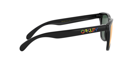 Oakley Sunglasses Frogskins OO9013E6