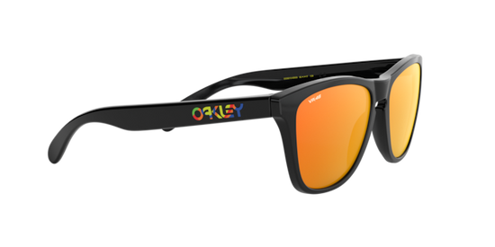 Oakley Sunglasses Frogskins OO9013E6