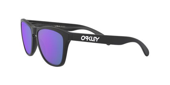 Oakley Sunglasses Frogskins OO9013H6