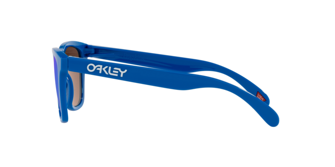 Oakley Sunglasses Frogskins OO9013J4