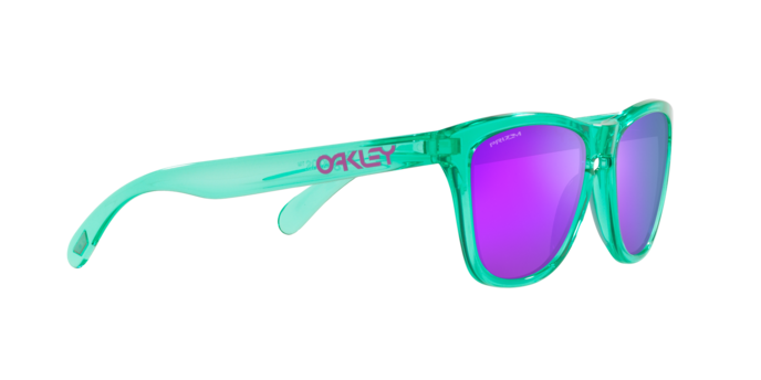 Oakley Sunglasses Frogskins OO9013J8