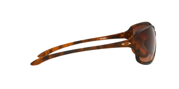 Oakley Sunglasses Cohort OO930112