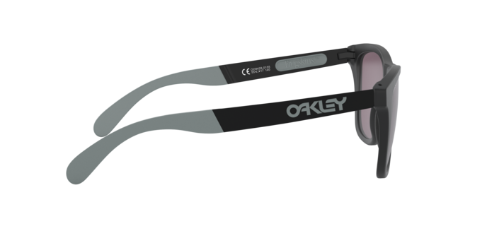 Oakley Sunglasses Frogskins Mix OO942801