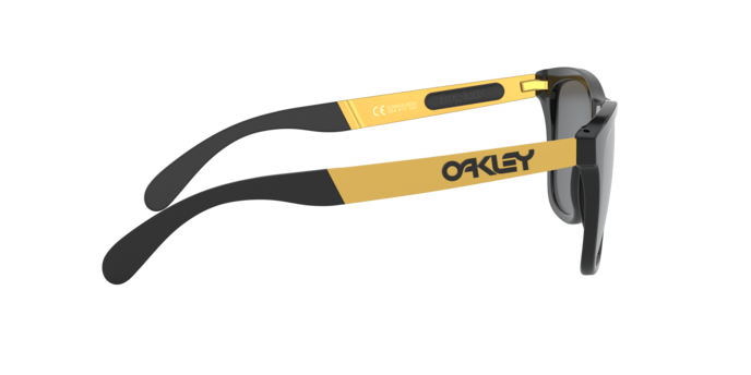 Oakley Sunglasses Frogskins Mix OO942802