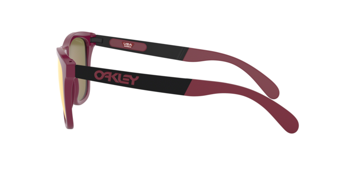 Oakley Sunglasses Frogskins Mix OO942805