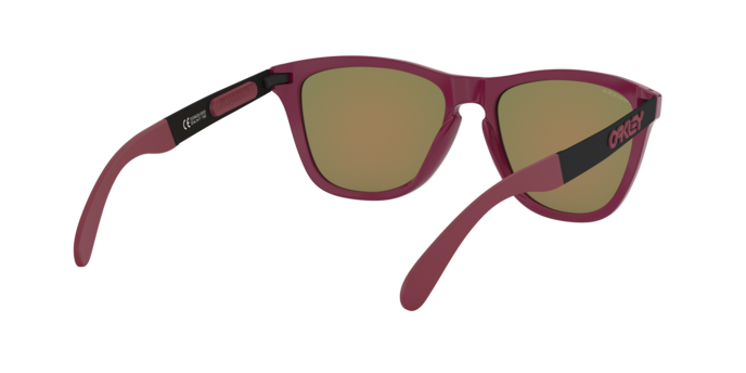 Oakley Sunglasses Frogskins Mix OO942805