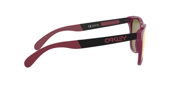 Oakley Sunglasses Frogskins Mix OO942805