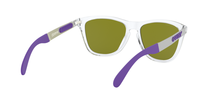 Oakley Sunglasses Frogskins Mix OO942806