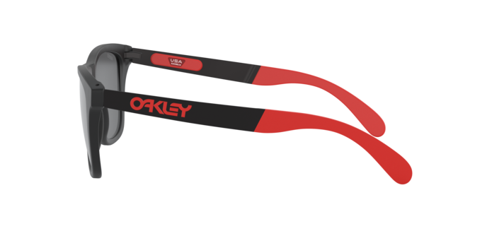 Oakley Sunglasses Frogskins Mix OO942811