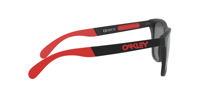 Oakley Sunglasses Frogskins Mix OO942811