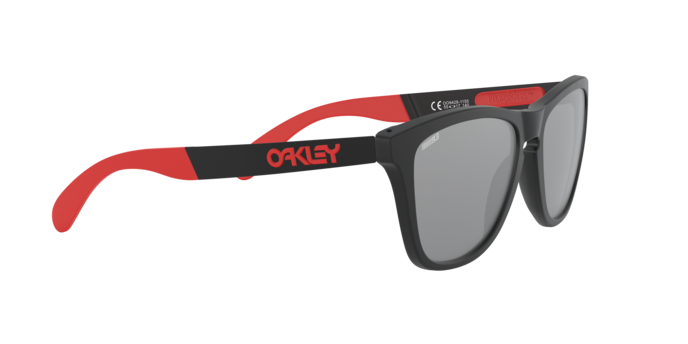 Oakley Sunglasses Frogskins Mix OO942811
