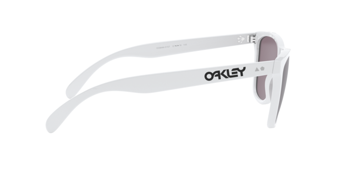 Oakley Sunglasses Frogskins 35Th OO944401