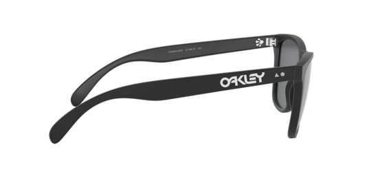 Oakley Sunglasses Frogskins 35Th OO944402