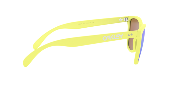 Oakley Sunglasses Frogskins 35Th OO944403