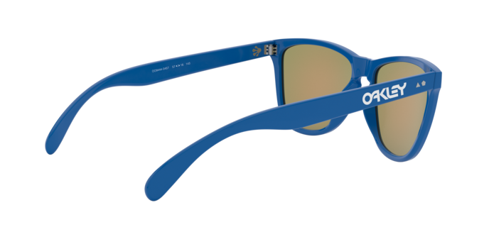 Oakley Sunglasses Frogskins 35Th OO944404