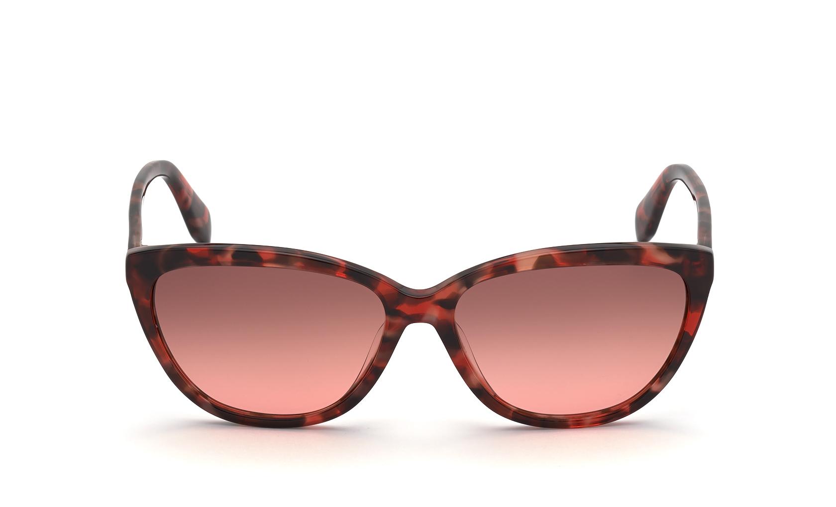 Adidas Originals Sunglasses OR0041 55T