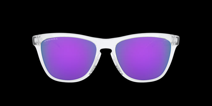 Oakley Sunglasses Frogskins OO9013D9