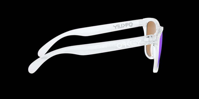 Oakley Sunglasses Frogskins OO9013D9