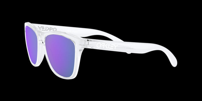 Oakley Sunglasses Frogskins OO9013D9