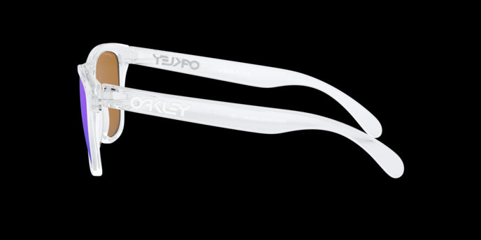 Oakley Sunglasses Frogskins OO9013D9