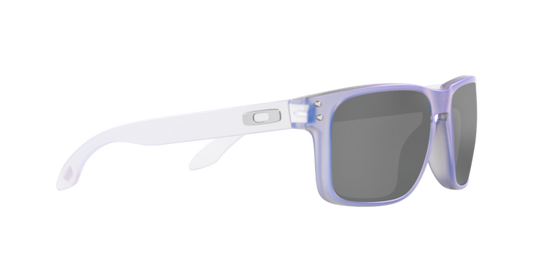 Oakley Sunglasses Holbrook OO9102X8