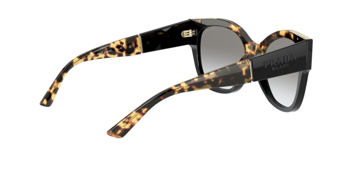 Prada Sunglasses PR 02WS 01M0A7