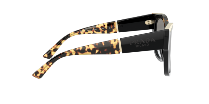 Prada Sunglasses PR 02WS 01M0A7