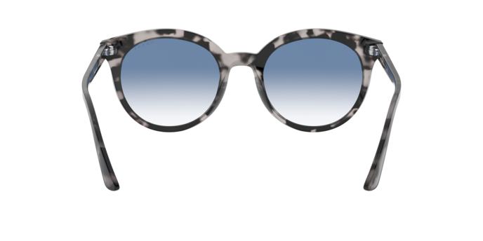 Prada Heritage Sunglasses PR 02XS 510725