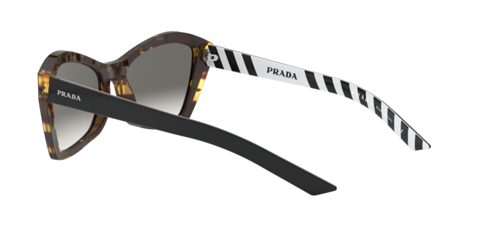 Prada Millennials Sunglasses PR 07XS NAI130