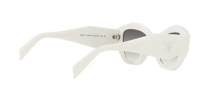 Prada Sunglasses PR 07YS 142130