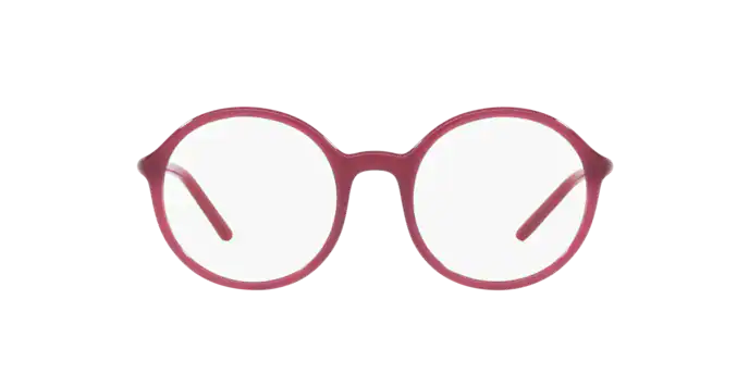 Prada Eyeglasses PR 09WV 2BM1O1