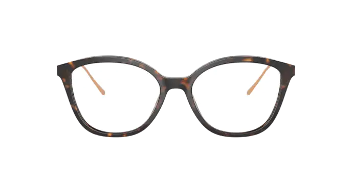 Prada Conceptual Eyeglasses PR 11VV 2AU1O1