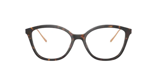 Prada Conceptual Eyeglasses PR 11VV 2AU1O1