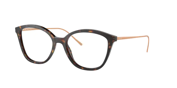 Prada Conceptual Eyeglasses PR 11VV 2AU1O1