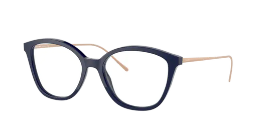 Prada Conceptual Eyeglasses PR 11VV VY71O1