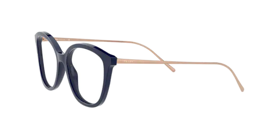 Prada Conceptual Eyeglasses PR 11VV VY71O1