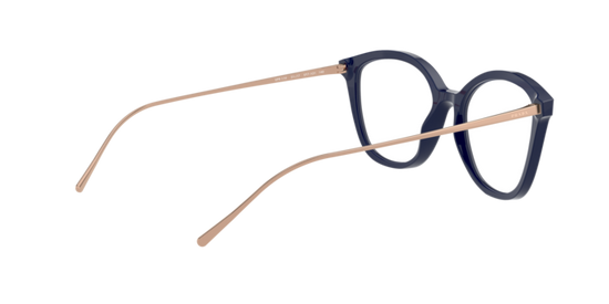 Prada Conceptual Eyeglasses PR 11VV VY71O1